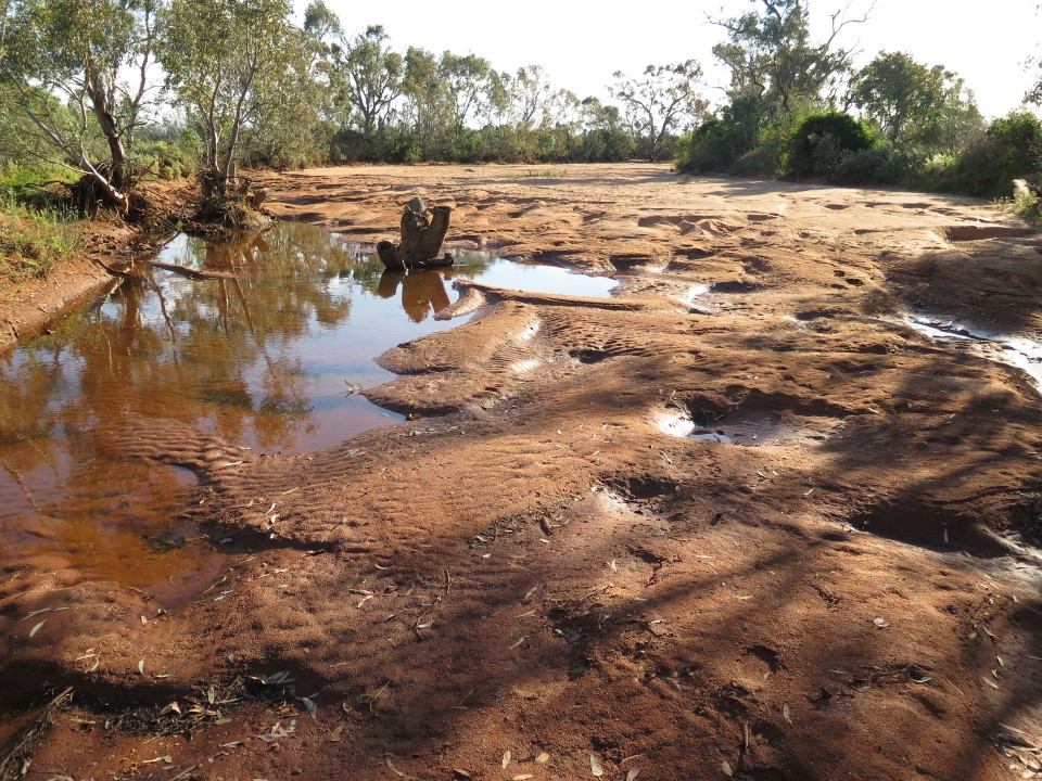 Yancowinna Creek dry creekbed, near Broken Hill
